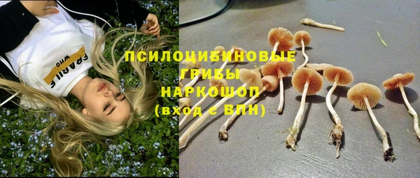 мяу мяу мука Алзамай